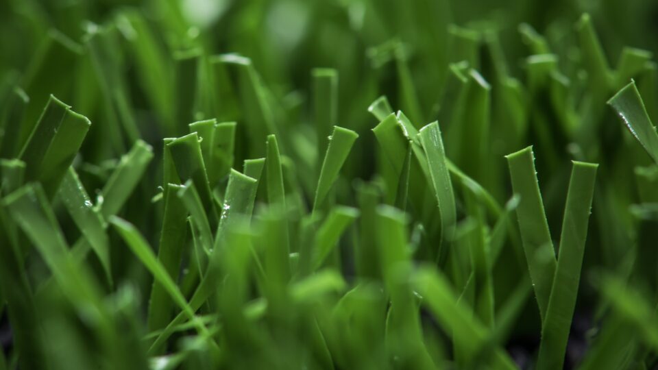 read NGR scores big with artificial turf reprocessing Top sports without artificial turf is virtually impossible today